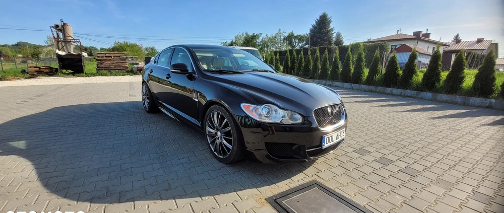 Jaguar XF cena 40000 przebieg: 151000, rok produkcji 2010 z Biecz małe 301